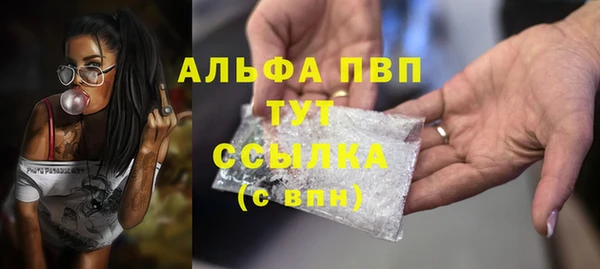 трава Аркадак