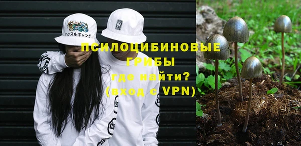 винт Алексин