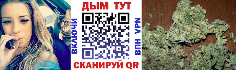 Конопля индика  Рыбное 